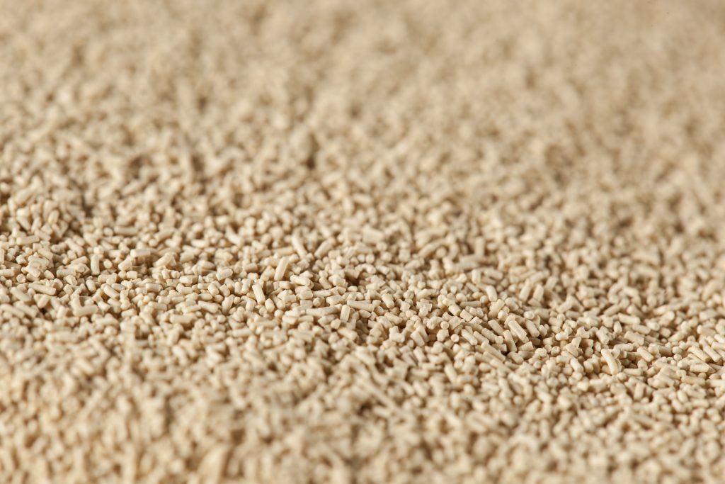 LA FERMENTATION LONGUE